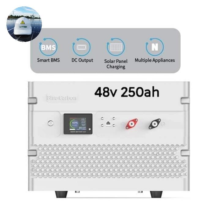 New Smart Battery Lifepo4 Bluecarbon 24V/48V 250Ah Best Performance - 24V 250Ah