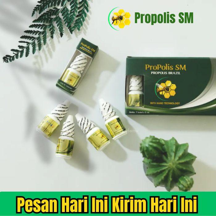 Gambar Propolis SM Brazil Isi 6ml Obat tetes cantengan nyeri telinga gatal kulit eksim benjolan sinusitis polip hidung, Trigger Finger kutil kelamin daging tumbuh kelenjar dari HERBAL RESMII undefined Tokopedia