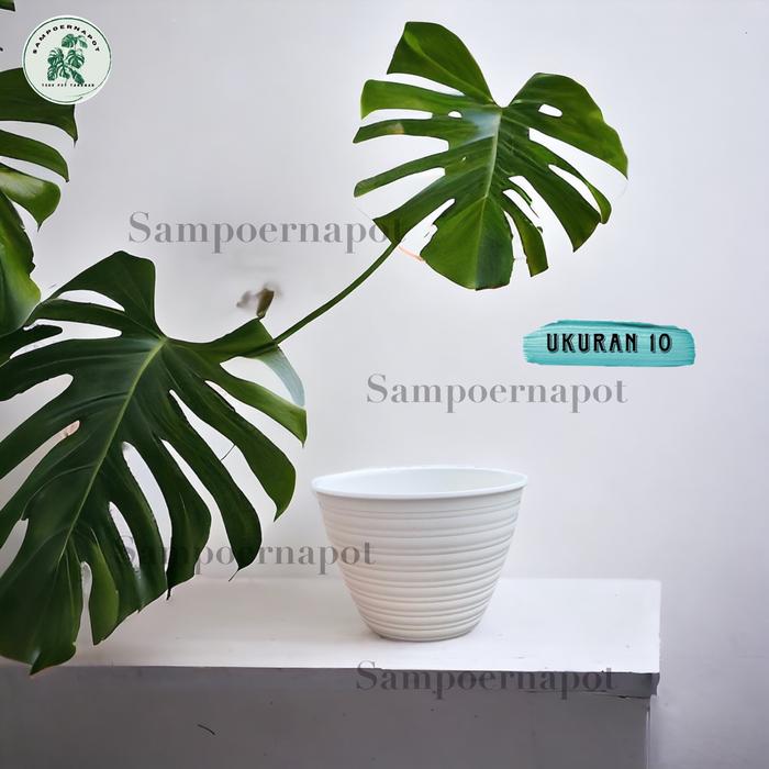 Gambar POT BUNGA TANAMAN MOTIF TAWON PUTIH BUDI JAYA PLASTIK - TAWON ORIGINAL - TAWON 10 PUTIH dari sampoerna pot undefined Tokopedia