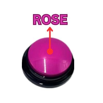 Gambar TALKING BUTTON Recordable Tombol Suara Mainan Edukasi Anak, Anjing Dog - Rose dari PRINSIP undefined Tokopedia