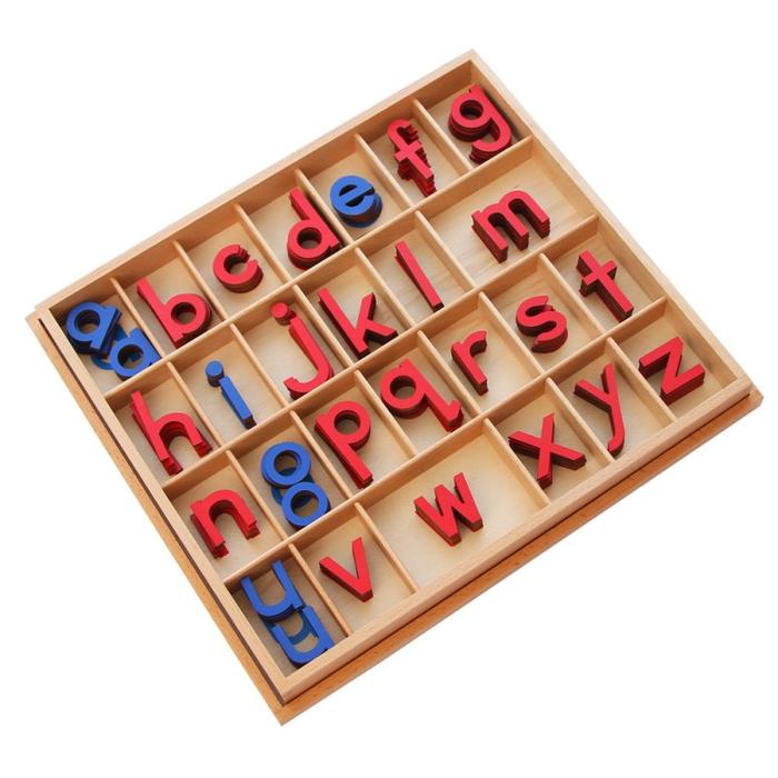 Jual Game Montessori Small Moveable Alphabet (Red and Blue) - SMA - Kab ...