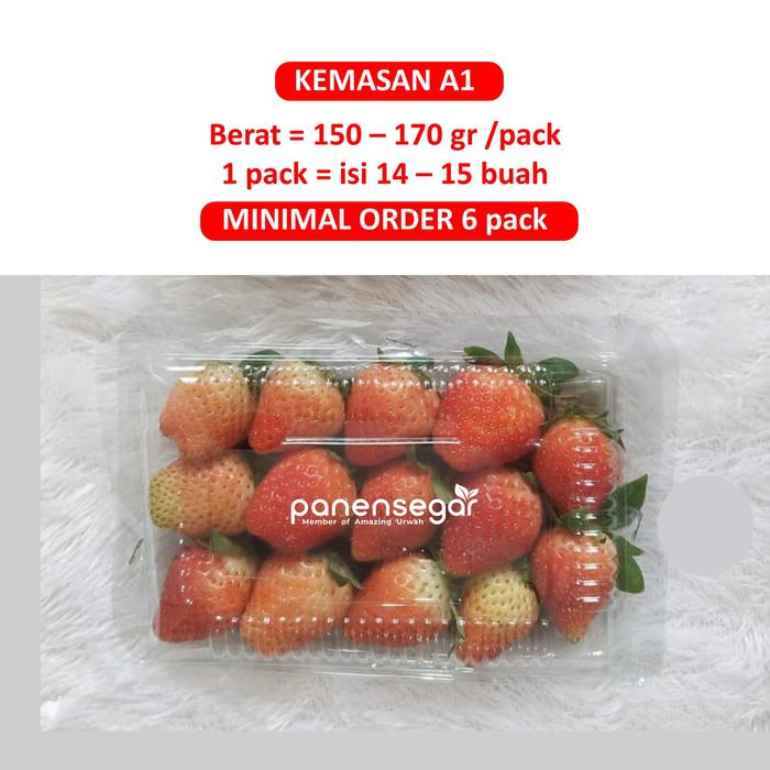 Gambar BEST SELLER! Strawberry Ciwidey Fresh Frutin Stroberi Segar Premium - A1, MinOr 6pcs dari Panen Segar undefined Tokopedia