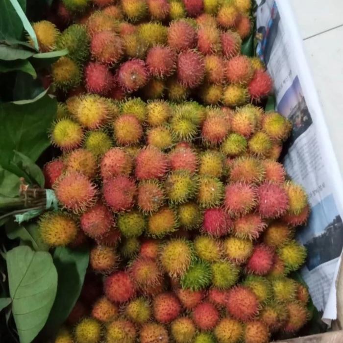 Gambar BUAH RAMBUTAN SWEET&FRESH ISI 2 IKAT PER PACK - RAPIAH dari Pelita99Store undefined Tokopedia
