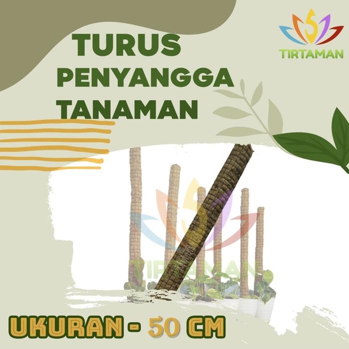 Gambar Turus Penyangga Tanaman - 60 cm dari TIRTAMAN undefined 3 Tokopedia