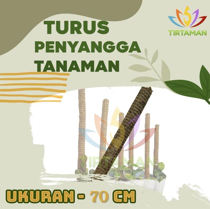 Gambar Turus Penyangga Tanaman - 60 cm dari TIRTAMAN undefined 5 Tokopedia