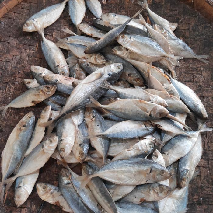 Gambar Ikan asin campuran /campur Campur Kemasan 1kg Murah #Ikanasintegal - 1000gr dari Ikan Asin Siuntung undefined Tokopedia