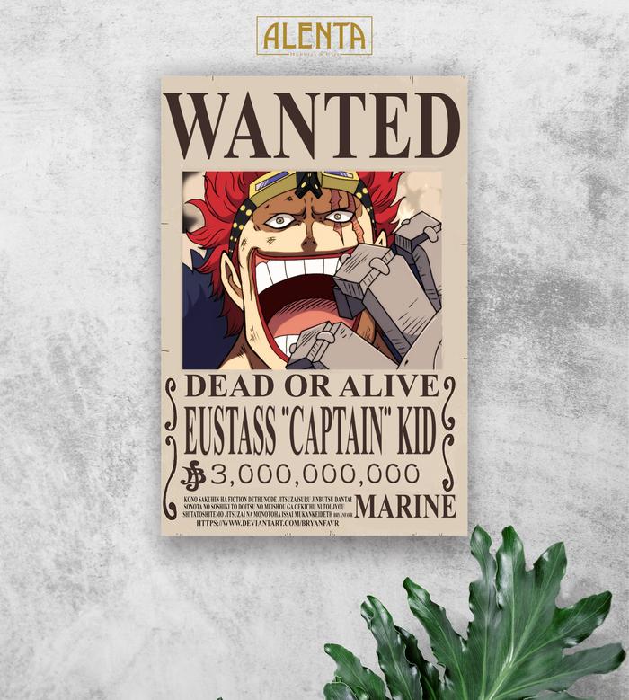 Gambar Single A4 Poster Hiasan Dinding Home Decor Dekorasi Ruangan OnePiece 2 - OP-11, 15X20 CM dari ALENTA_hobbies&amp;gift undefined Tokopedia