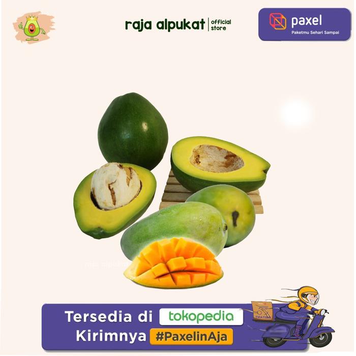 Gambar PAKET RAJA ALPUKAT X PAXEL - 2 avo 2 mangga dari RAJA ALPUKAT undefined Tokopedia