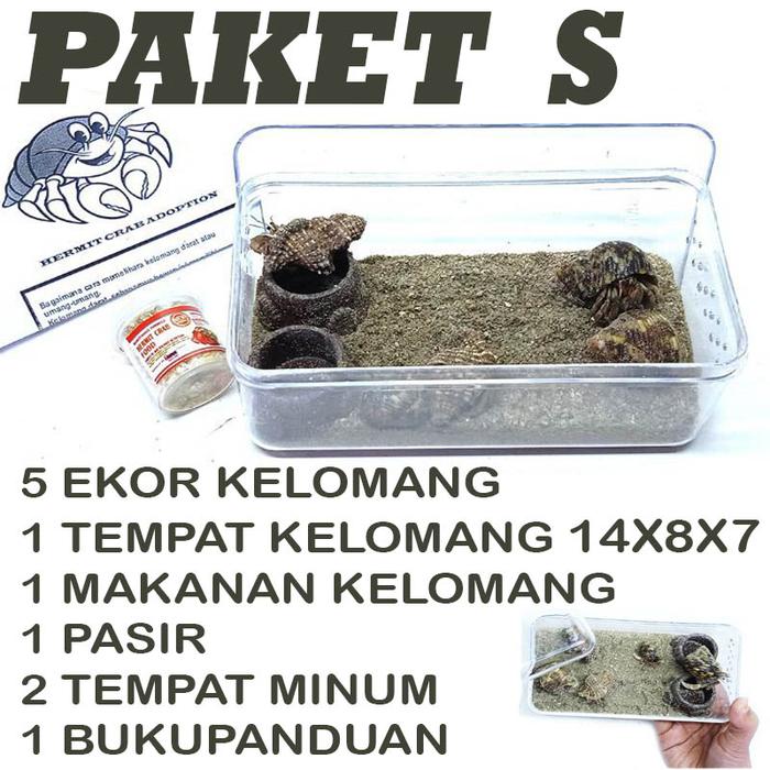 Gambar Mainan edukasi anak paket kelomang umang keong kumang keong Medium dari reptilestore.id undefined 5 Tokopedia