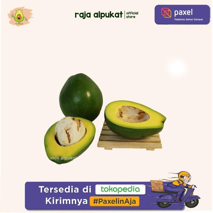 Gambar PAKET RAJA ALPUKAT X PAXEL - 2 kg Avo Reg dari RAJA ALPUKAT undefined Tokopedia