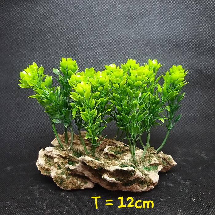 Gambar Hiasan aquarium aquascape pohon, rumput, kembang dll - Lotus Hijau B dari Tania Shop88_NEW undefined Tokopedia