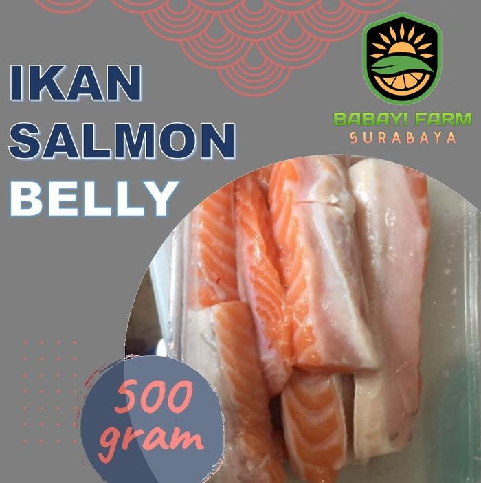 Gambar Belly Salmon Tetelan 500 gr / Salmon Bely Cut Trimming 1 kg - 500 gram dari Babay Farm Surabaya undefined Tokopedia