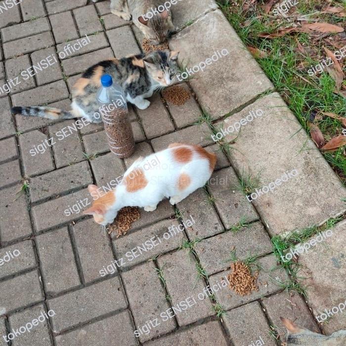 Gambar sedekah makanan kucing jalanan berbagi kucing liar street feeding cat dari sigitz sensei undefined Tokopedia
