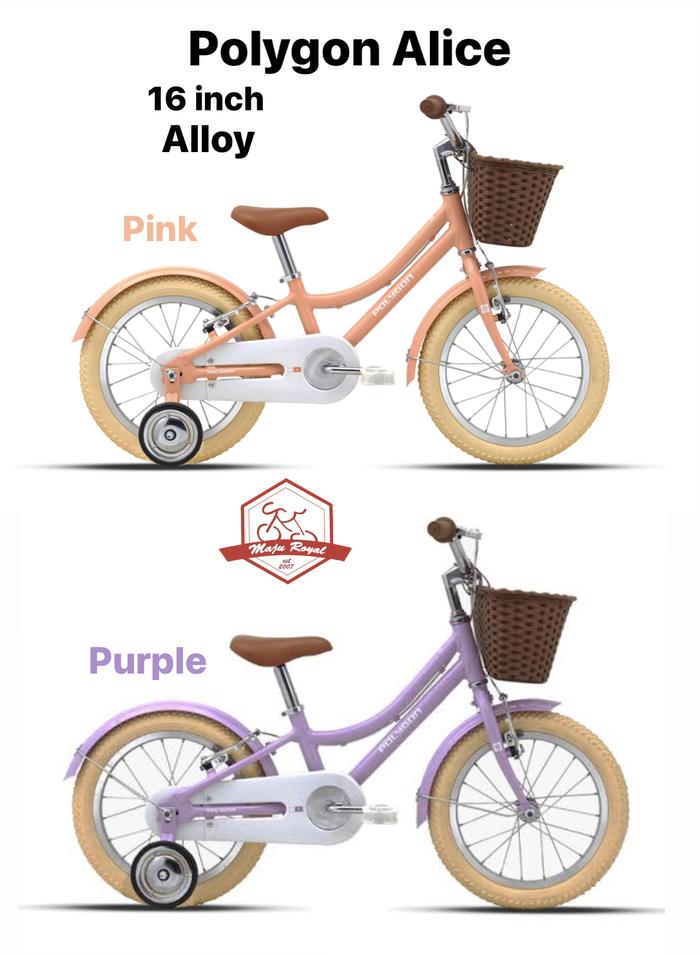 1kg☆激安ご奉仕☆希少☆神秘的な香り【聖なる樹バロサント香ウッド