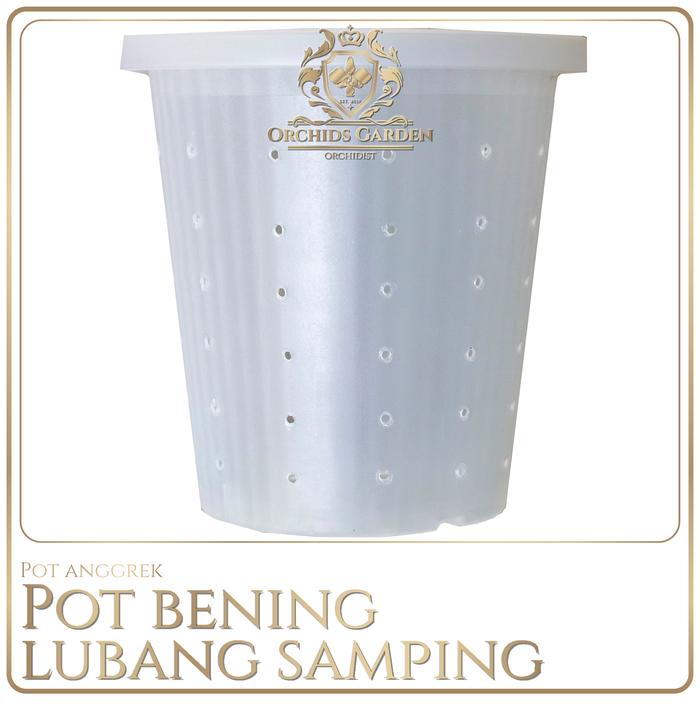 Gambar Pot Anggrek Transparan Akar Sehat Pot Lubang Pinggir Pot Plastik 15 - Pot 10, Hanya pot saja dari OrchidsGarden undefined Tokopedia