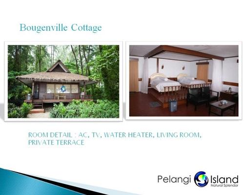 Gambar Paket Wisata Pulau Pelangi Tour Pulau Seribu - Bougenville, 2 Hari 1 Malam dari Endangered Store undefined Tokopedia