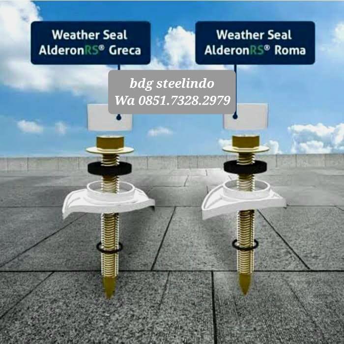 Gambar Baut Roofing Alderon RS / Skrup Weather Seal Roma / Greca / Trimdeck - Roma dari Bdg.Steelindo undefined Tokopedia