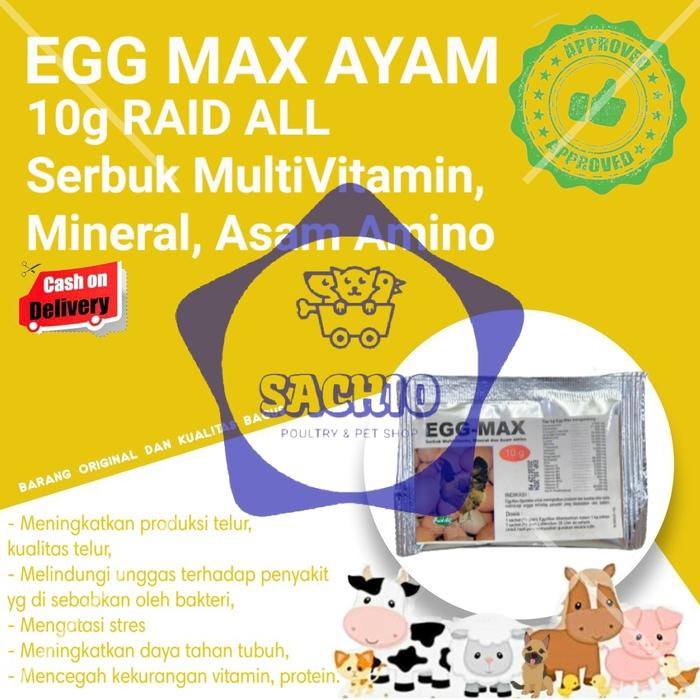 Gambar Egg Max Pemacu Produksi Telur Ayam - 10g Raid All - EGG MAX AYAM dari KICHIRO Pet & Poultry Shop undefined Tokopedia