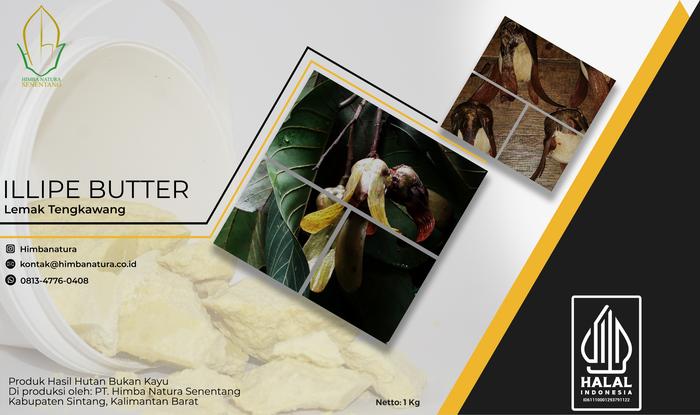 Gambar Minyak Tengkawang Putih ( (Illipe Butter Decolourised) 1Kg dari Himba Natura undefined Tokopedia