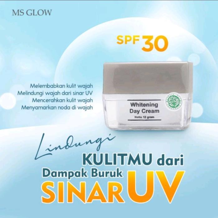 Gambar VARIAN KRIM SIANG MS GLOW ORIGINAL DAY CREAM BB CREAM ACNE BB SKINCARE - DAY CREAM dari Official MS Glow Store Indonesia undefined Tokopedia