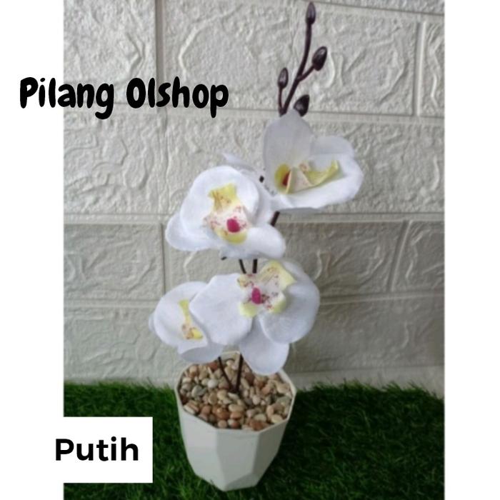 Gambar Bunga Anggrek Artificial - Tanaman Hias Anggrek Orchid Pot Plastik - Putih dari Pilang Olshop undefined Tokopedia