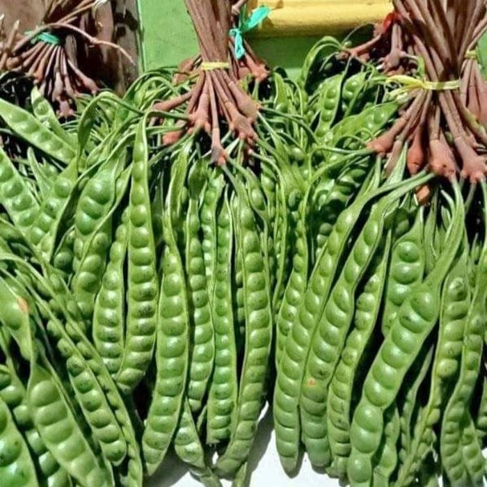 Gambar pete perbiji dari jelita sayur undefined Tokopedia
