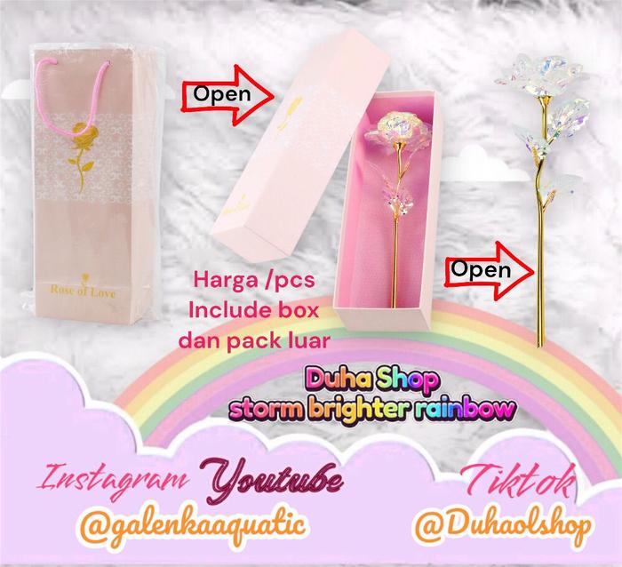 Gambar Bunga Mawar Lampu LED Dekorasi Beauty and The Beast Rose - AC01 - Galaxy rose dari BabyLuvLuv undefined Tokopedia