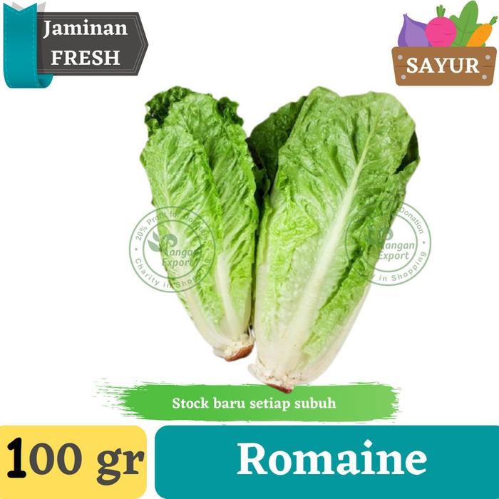 Gambar Romaine Lettuce | Sayur Romaine | Selada Salad - Sale dari Pangan Export Indonesia undefined Tokopedia