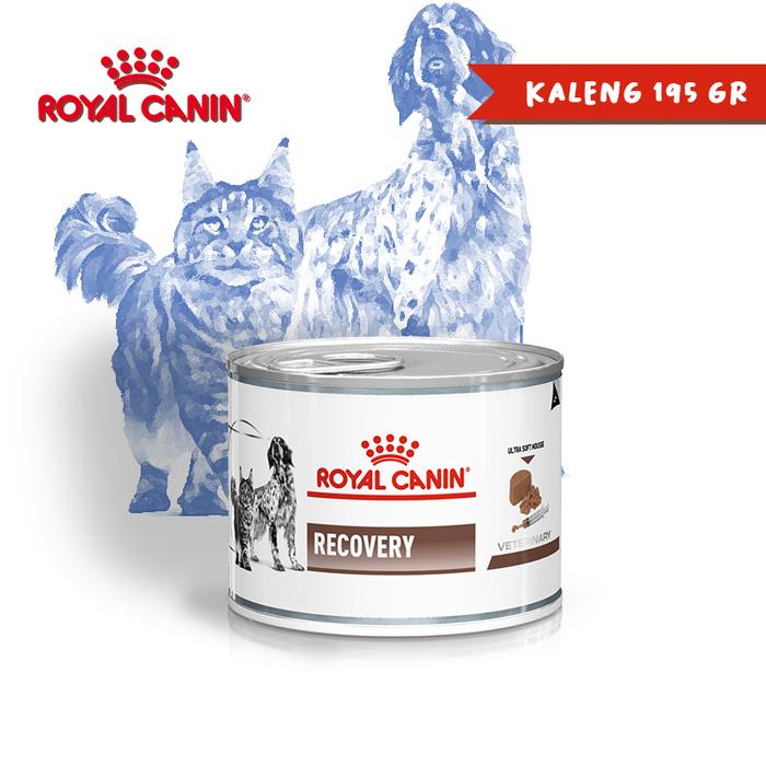 Gambar Makanan RECOVERY Kucing Wet Food - Royal Canin dari NEXT DOOR MART undefined 4 Tokopedia