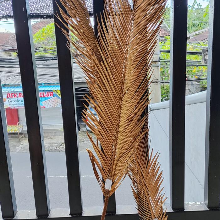 Gambar daun sikas kering warna gold mawar jambe panjang 70 - 80 cm dekorasi Hiasan Emas dari bellapartystore undefined Tokopedia