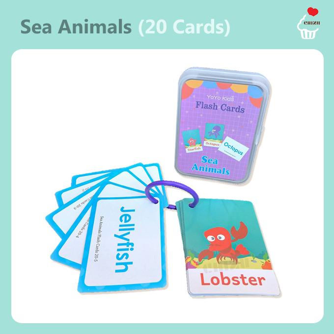 Jual Flash Card Kartu Pintar Anak Bahasa Inggris | English Flashcard ...