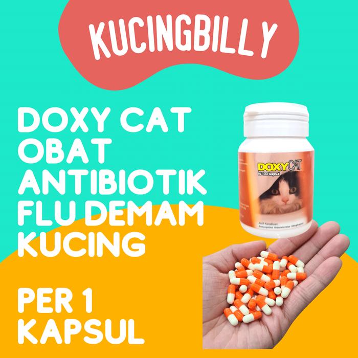 Gambar DOXY CAT obat antibiotik flu demam batuk kucing doxycat - Doxy per kaps dari Kucingbilly undefined Tokopedia