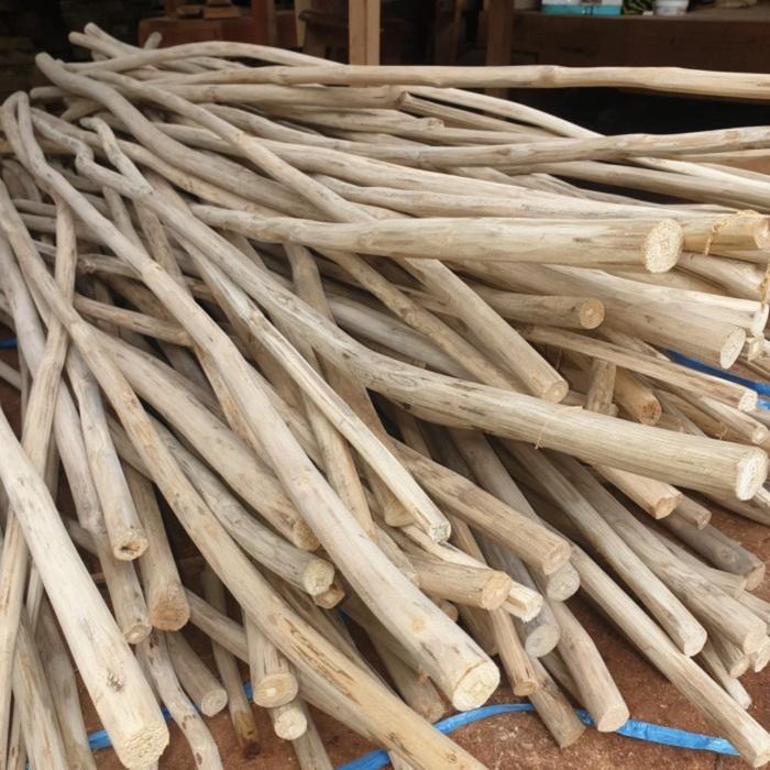 Gambar Ranting Pohon Jati Kayu Ranting Dekorasi panjang 100-200 cm - panjang 200 cm dari Alberoid Official undefined Tokopedia