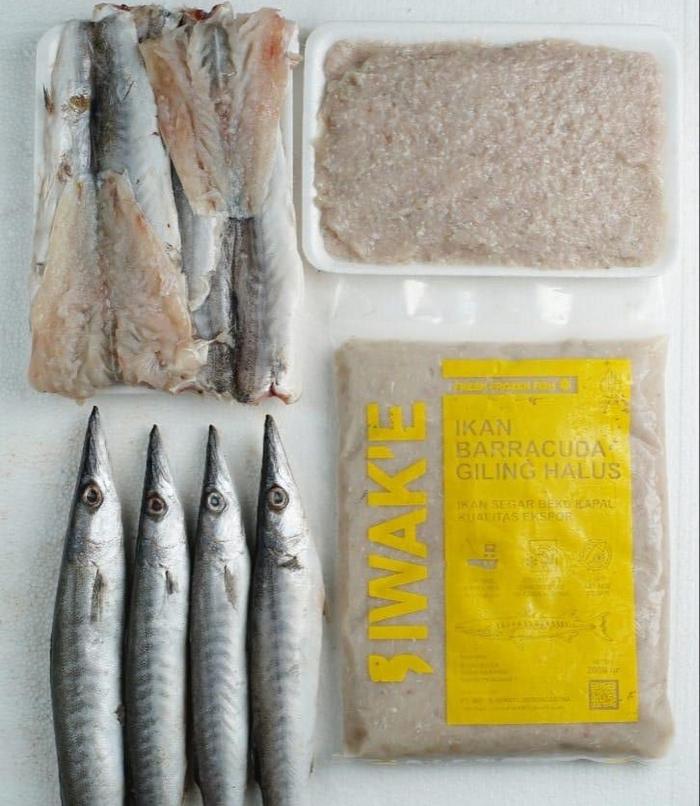 Gambar IKAN GILING HALUS 1KG IWAKE BARAKUDA KACANG-KACANG ALU-ALU MINCED FISH - GILING HALUS dari LATTEBLESS undefined Tokopedia