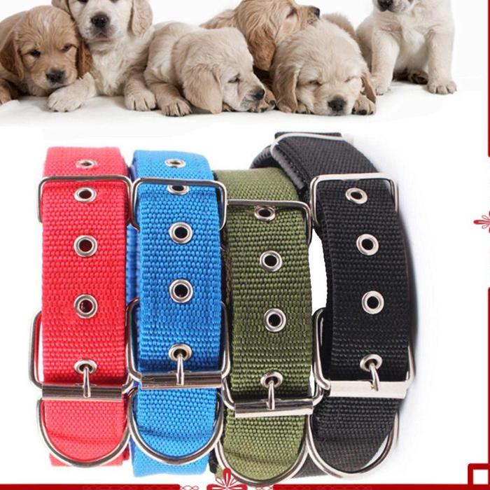 Gambar tali jalan anjing - Kalung saja dari Goofy pet store undefined Tokopedia