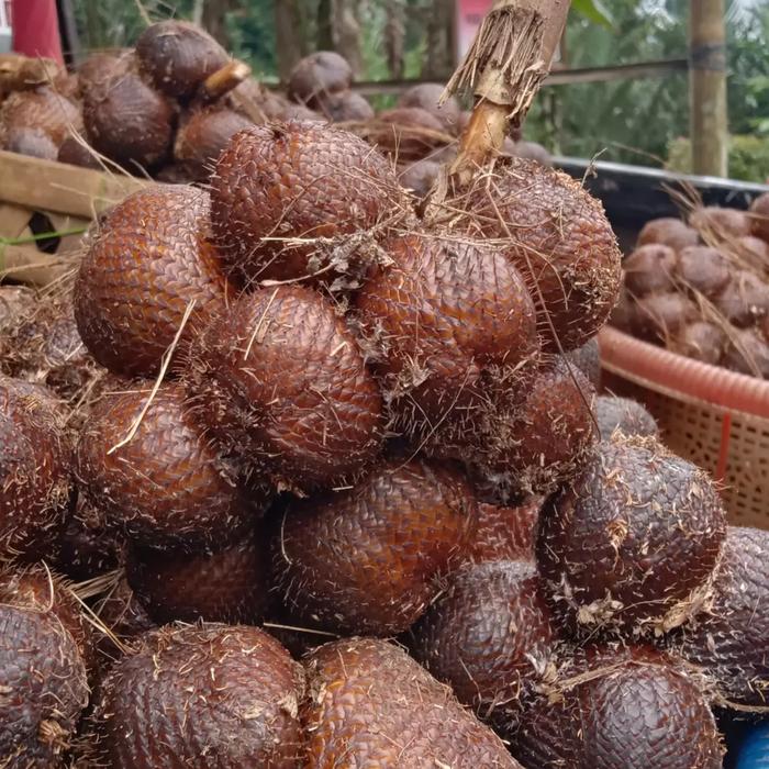 Gambar salak gula pasir dari salakgulapasirmadeadi undefined Tokopedia