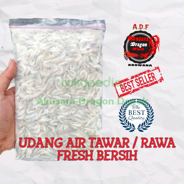 Gambar Udang air tawar / udang rawa beku dari Akusara Dragon Depok undefined Tokopedia