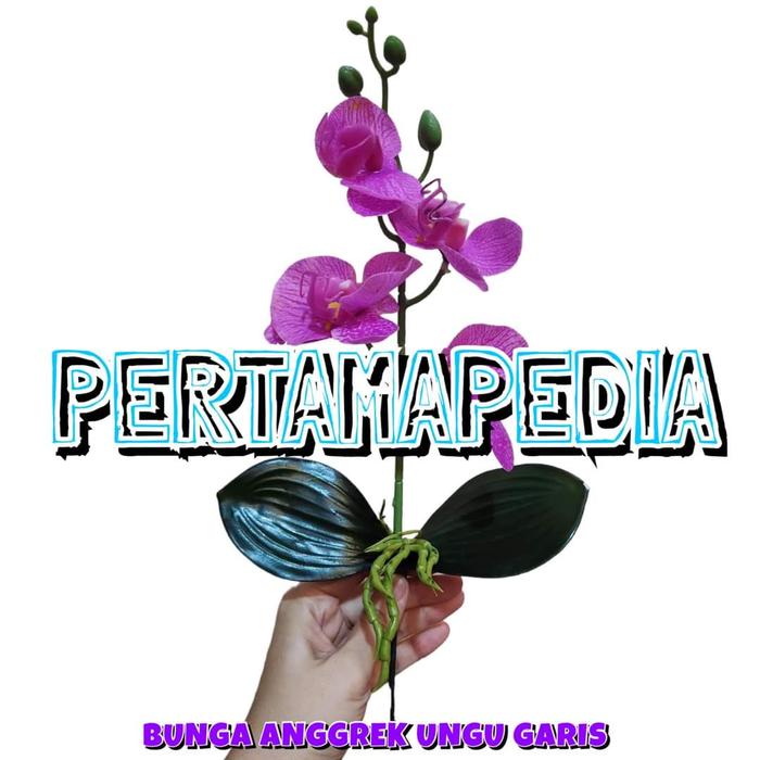 Gambar Bunga Anggrek Latex Premium 4 Kuntum/ Bunga Plastik/ Tanaman Plastik - Ang.Latex-Ungu dari Pertamapedia Shop undefined Tokopedia