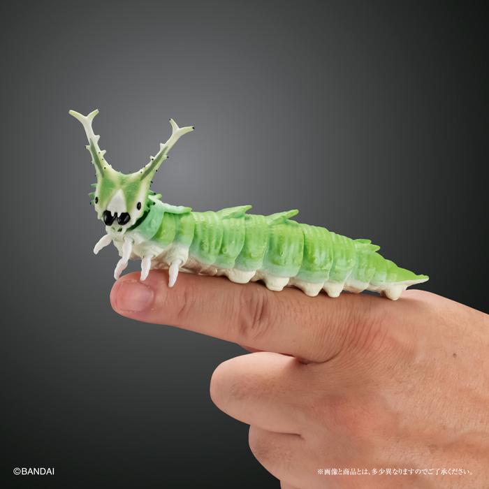 Gambar Ikimono Daizukan Imomushi 02 Caterpillar Bandai Gacha Gashapon Figure - RANDOM dari Pokotoko undefined Tokopedia