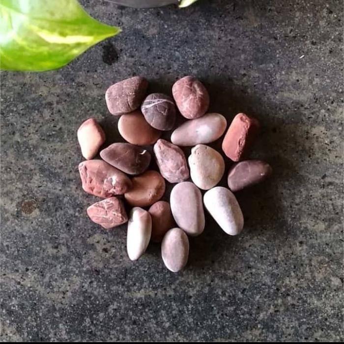 Gambar batu coral 1 kg / batu makam /batu hias taman / batu aquarium - Cokelat dari istiana landscape aquatic undefined Tokopedia