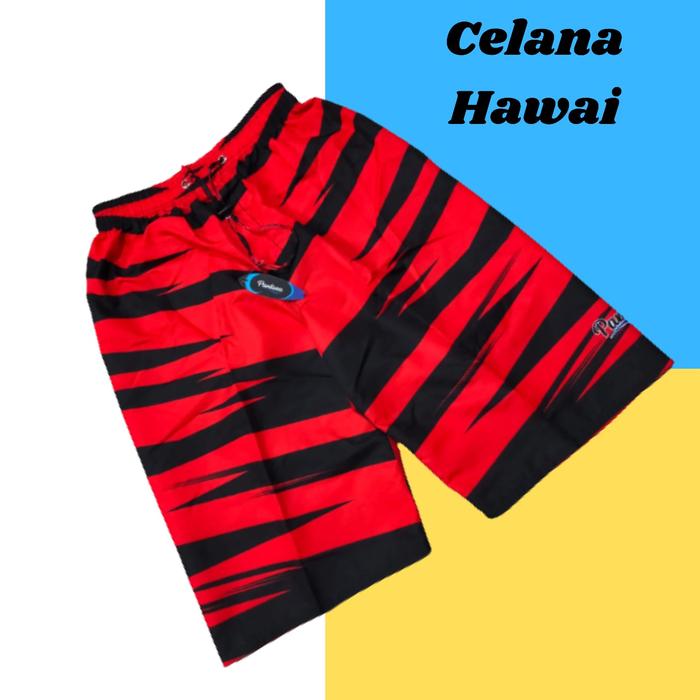 Gambar Celana Pendek Hawai Pantai Boxer Surfing Motif Fullprint Adem lembut - haw05 dari AB46 SPORT undefined Tokopedia