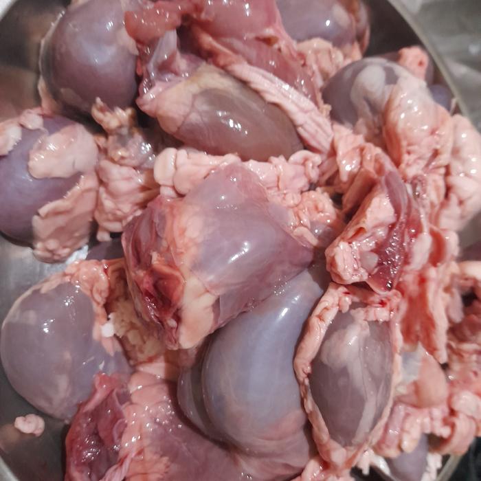 Gambar jeroan kambing lokal dari rindikshop01 undefined Tokopedia