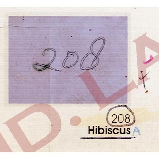 Gambar CAT TEMBOK MURAH 1 KG / CAT DINDING PLAFON GYPSUM MURAH - 208 dari Toko Laris Material undefined Tokopedia