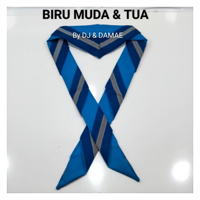 Gambar Scraf Pramuka kombinasi Loreng Syal - BIRU MUDA & TUA dari Pandu Pramuka undefined Tokopedia