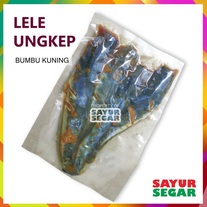 Gambar IKAN BAWAL BUMBU KUNING [500G] PREMIUM - Lele dari Sayur Segar undefined Tokopedia