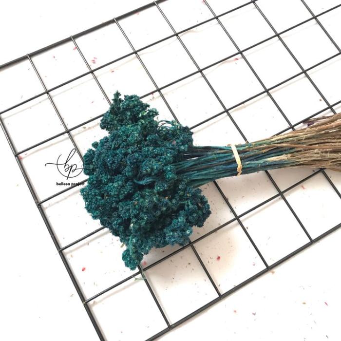 Gambar BUNGA EDELWElS BUDIDAYA/ BUNGA ABADI / BUNGA KERING / DRIED FLOWER DF02 - Biru, 30 Batang dari Bellesa Project undefined Tokopedia