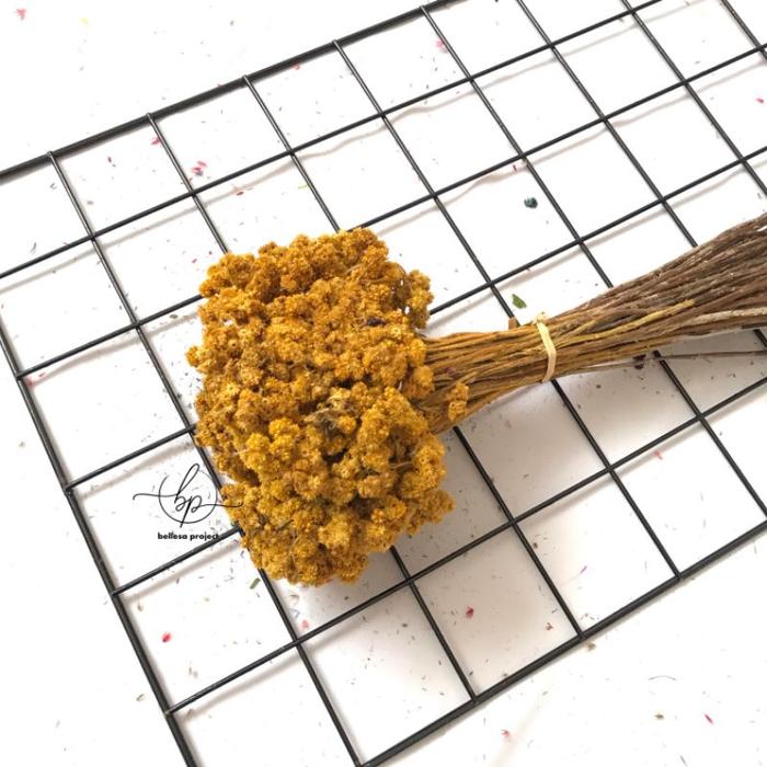 Gambar BUNGA EDELWElS BUDIDAYA/ BUNGA ABADI / BUNGA KERING / DRIED FLOWER DF02 - Kuning, 30 Batang dari Bellesa Project undefined Tokopedia