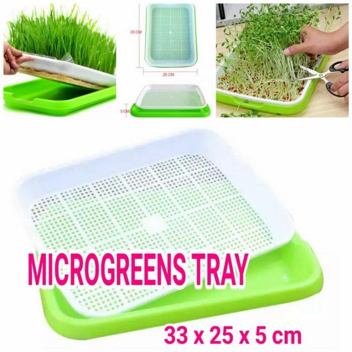 Gambar Tray Microgreen Hijau - Double Layer Hidroponik dari GardeNingrat undefined Tokopedia