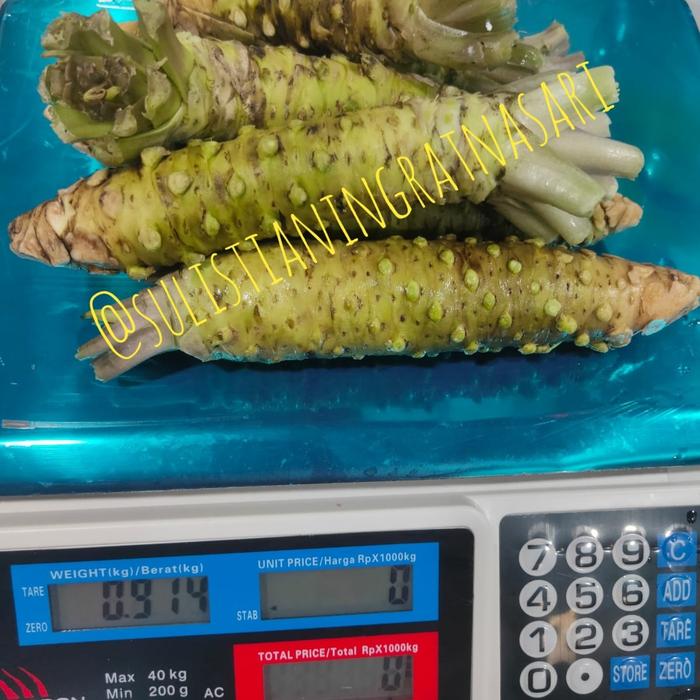 Gambar WASABI FRESH dari Satria Kinanti Ramadhan undefined Tokopedia
