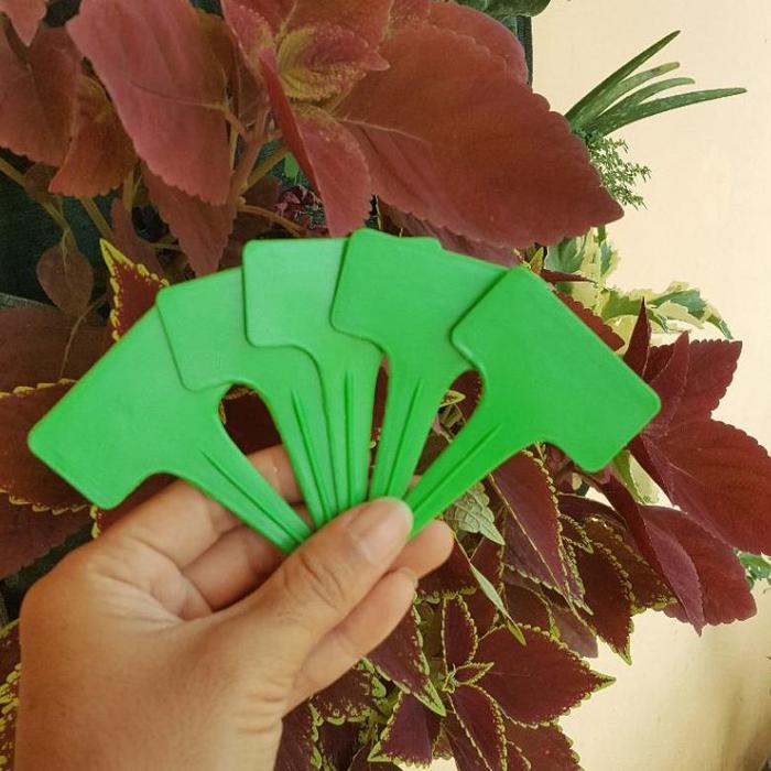 Gambar PENANDA LABEL NAME TAG TANAMAN HIAS PLANT LABEL MARKER SEMAI BENIH - Hijau dari Jalalludin Rumi undefined Tokopedia